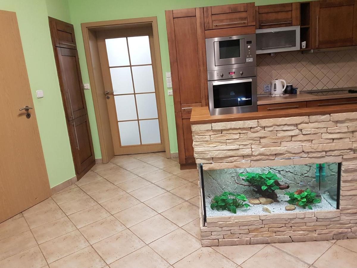 סלאקוב או ברנה Apartman V Aleji מראה חיצוני תמונה